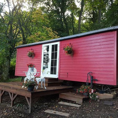 Borthwickbrae Shepherd'S Hut Hawick Eksteriør billede